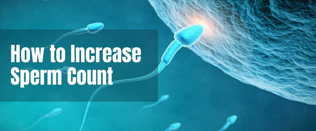 How to Increase Sperm Count